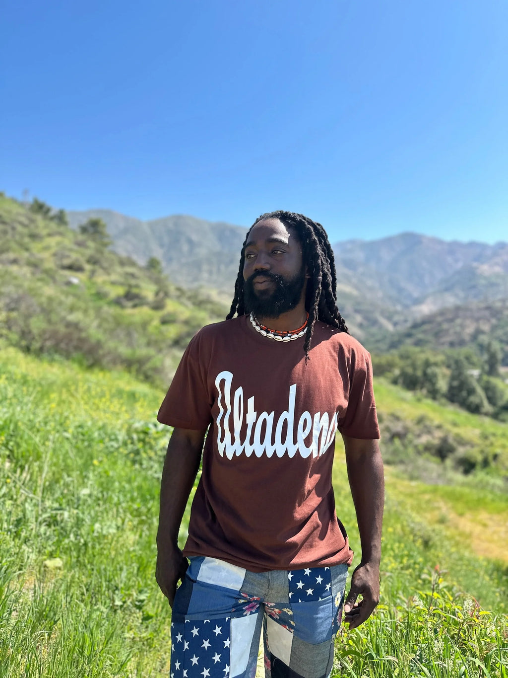 ALTADENA BROWN TEE
